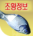 조황정보